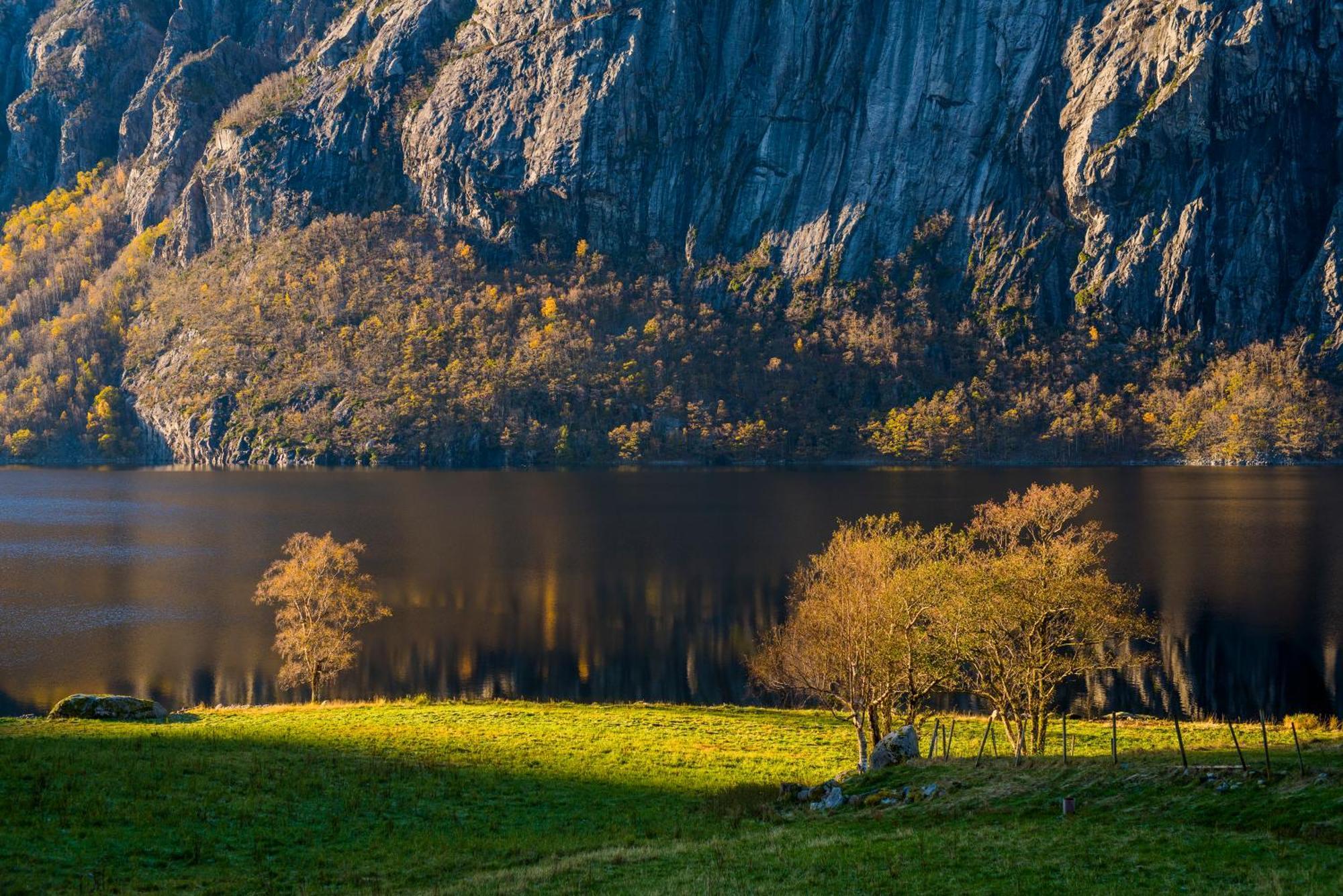 Hytte Ved Preikestolen Forsand Buitenkant foto