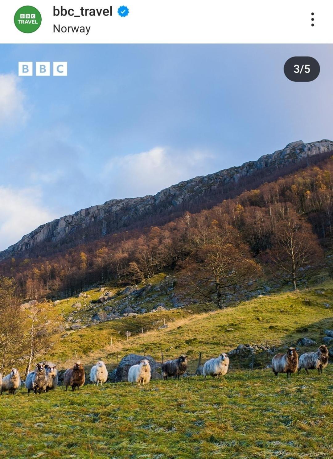 Hytte Ved Preikestolen Forsand Buitenkant foto